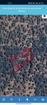 Bard Danışmanlık'tan İzmir Bayındır Yatırımlık Zeytinlik