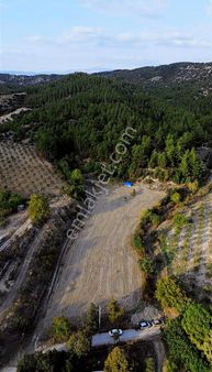 Joy/max'dan Tekkeköy'de Yerleşime 2 Dk Mesafede Satılık Tarla