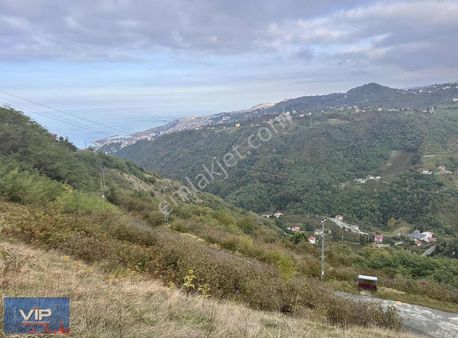 Vıp Gayrimenkul'den Akyazı'da Vıllalık Full Manzaralı Arsa
