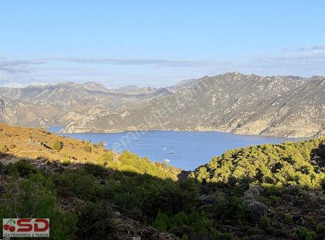 Araç Takaslı Acill Yola Sıfır 7.500 M2 Emsalsiz