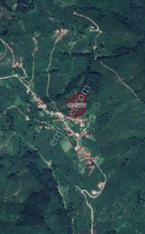 Ordu Ulubey Ohtamış Mah. Satılık Fırsat Fındık Bahçeleri