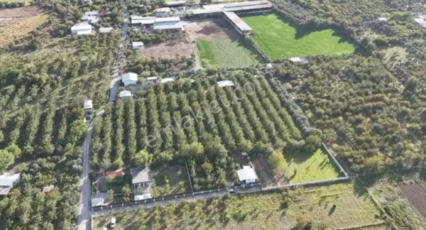 Kemalpaşa M.akif Ersoy 9.710m2 Satılık Bahçe Otoyol Girişine 2dk