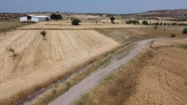 Altıeylül Pamukçu’da Köşe Parsel Tarla