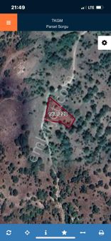 Ankara Kızılcahamam Çeçtepe Mahallesinde 88m2 Tarla