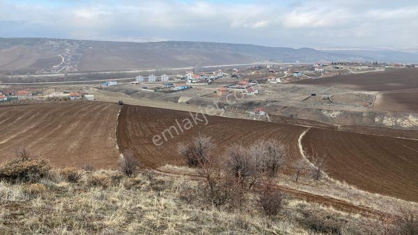 Satılık Sarmaşa' Da 35 Dönüm Tarla