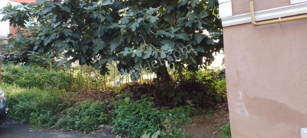 Trabzon Pelitlide Sahil Yoluna Yakın Satılık Arsa