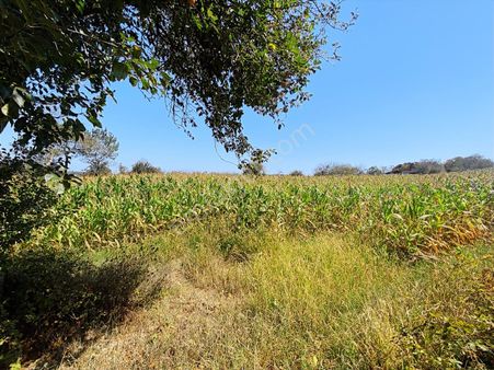 C21 Mehmet Çakar'dan Yatırımlık Arazi