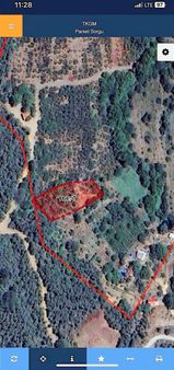 Kemalpaşa Sinancılar Köyünde Kestane Bahçesi