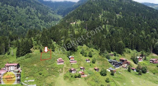 Rize Çamlıhemşin Ayder Yaylasında Fırsat Satılık Arazi-arsa !!!