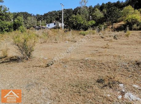 Göynük Çaylak Köy İçi İmarlı 2 Adet Parsel 4050 M2 Müstakil Tapu