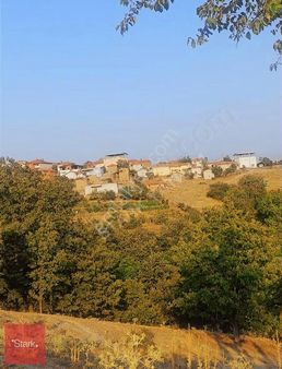 Bursa Orhaneli Satılık Tarla