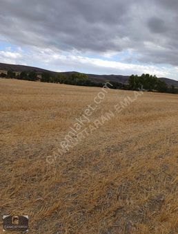 Turan Subaşı Mah. Satılık İmar Yakını Tarla