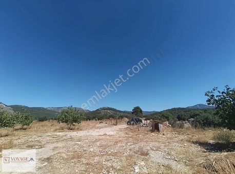 Acıl Satılık! Düz Arazi + Isıtmalı Ev+ Ceviz Bahçesi