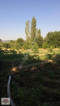 Muğla Menteşe Göktepe De 2150 M² Bahçe