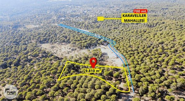 Pinus Gayrimenkul'den//9.810 M² Köye 700 Mt. Satılık Fıstıklık