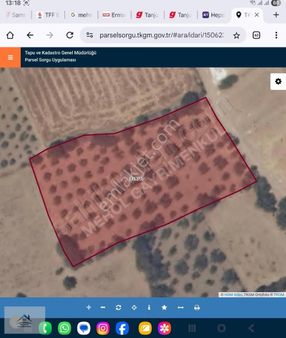 Bergama Zeytindağ'da Satılık Zeytinlik