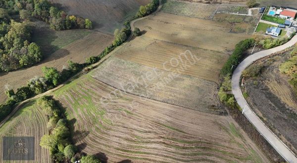 Derince Geredeli 5.459 M² Müstakil Tapu Asfalt Yola Cephe Tarla