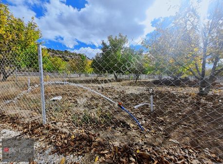 Rw Lıfe // Akpınar Mahallesinde Hobi Bahçesi