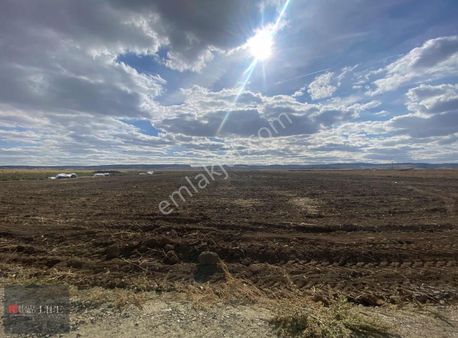 Rw Lıfe // Eskişehir Tepebaşı Yusuflarda Satılık Tarla