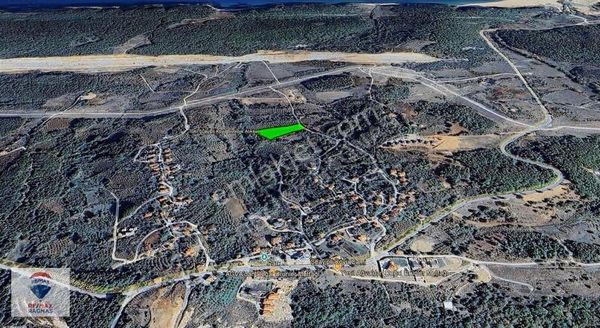 Şile Şuayipli Mahallesinde Satılık 5180m2 Kadastra Yollu Tarla