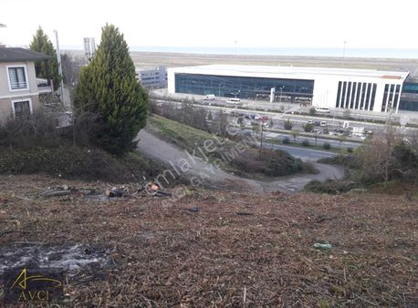 Ordu Havalimanı Karşınsında Satılık Kupon Arsa