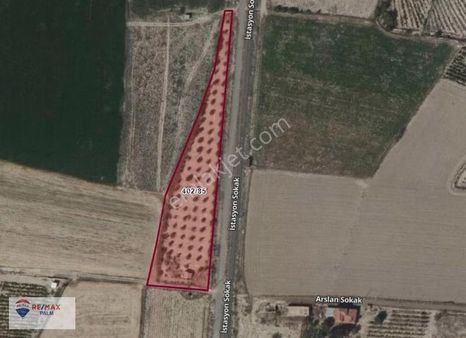 Remax Palm'den Kemerhisar'da 6500 M2 Satılık Bahçe