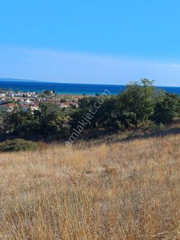 Edirne Bosnaköyde Köy İçinde Satılık Bahçe