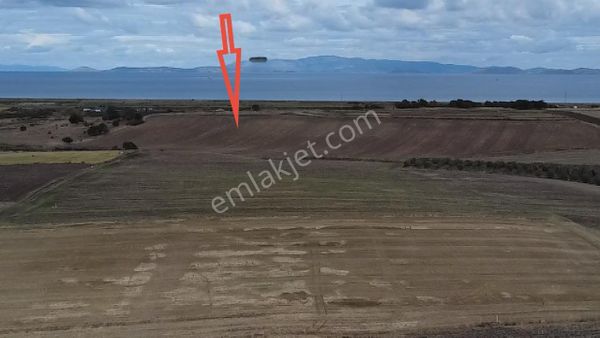 Biga Güvemalan Satılık Tarla 28 Dönüm