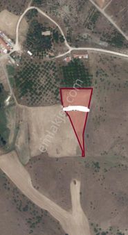 Satılık Tarla 6 Dönüm ; Yatırımlık , Eskişehir - Tepebaşı - Hekimdağ Mevkiinde