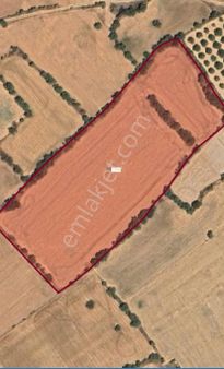 Vizyon Gayrimenkul'den Denizli'de Satılık Tarla