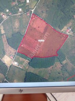 Satılık Uygun Tarla