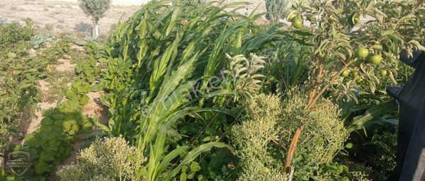 Metin Gönülalan'dan Mükemmel İçinde Bungalov Evi Olan Arsa