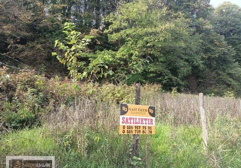 Sakarya Arifiye Ahmediye De İmar Sınırında Satılık Mulk