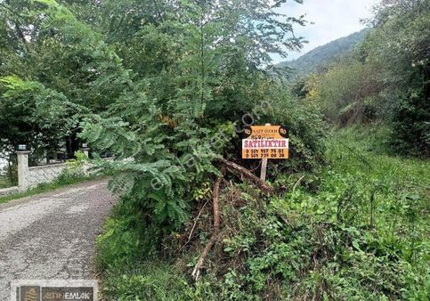 Sakarya Geyve Doğançay Da Satılık Değerli Arsa Payı