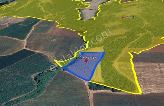 Balıkesir Bandırma Çakıl Mah. 6695 M2 Satılık Tarla