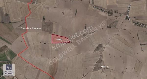 Kahramankazan Akçaörende Satılık Tarla Hissesi