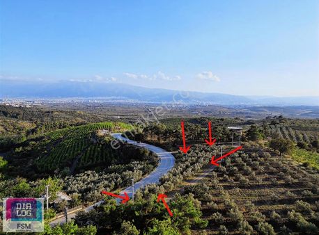 Asfalt Yola Cephe Tek Tapu 1611 M2 Satılık Fırsat Arazi