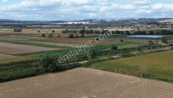 Emsale Rakip Yok! Serdivan Yazlık’ta Dev Yatırımlık Müstakil Parsel!
