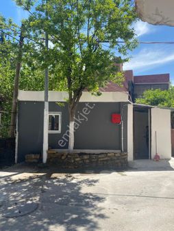 Ziyapasa Mahallesi Tek Katli 1+1 Mustakil Bina