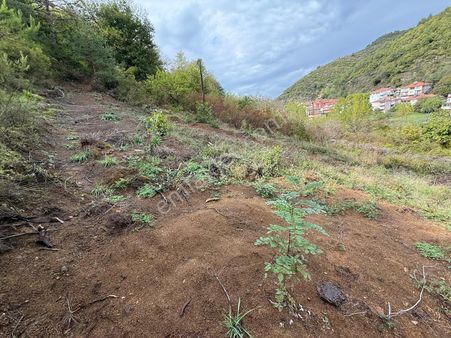 Bilgin Emlaktan Merkezde Yola Cepheli Konut İmarlı Satılık Arsa