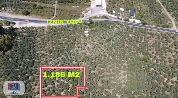 Dialog Leo'dan Dutluca Köyünde Satılık Tarla