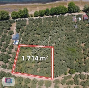 Dialog Leo'dan Dutluca Köyünde İznik Gölüne 100 Mt Satılık Tarla