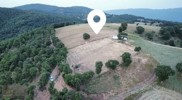 Çanakkale︎biga ︎kaynarca Köyü Satılık Tarla