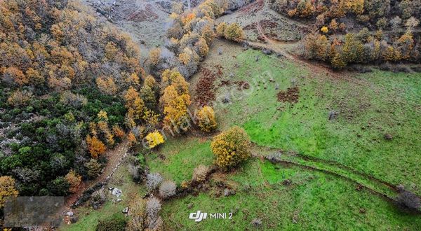 Çanakkale ︎biga ︎ışıkeli Köyü ︎satılık Bahçe