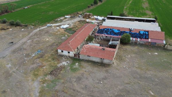 Yaman'dan Çay Yeşilevler Mah. Satılık Çiftlik (93.606 M²)