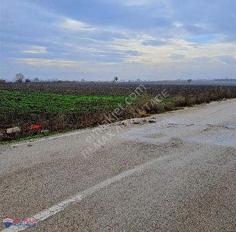 Remax Advantage'n Karacabey Gölkıyı Yola Cephe Yatırımlık Tarla