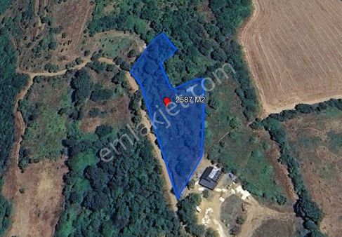 Balıkesir Bandırma Çakıl Mah. 2.587 M2 Satılık Tarla Yatırımlık