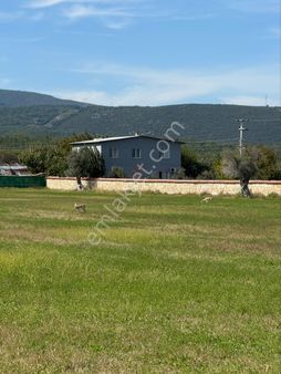 Fırsat İmarlı Arsa Torbalı Subaşı Mah.de