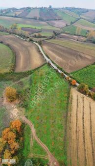 Yatırımplus'tan Alaçam Taşkelik'te 3 Ev Yapılabilir Tarla