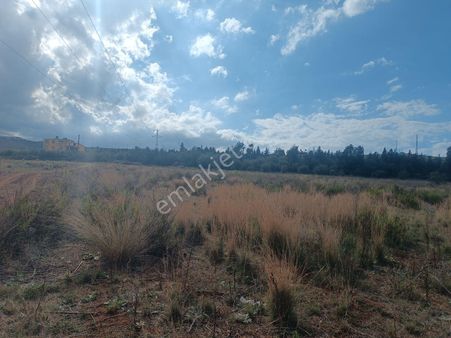 Yatırım Fırsatı. Hastane Yakını Cebike De Satılık 2 Ayrı Parsel